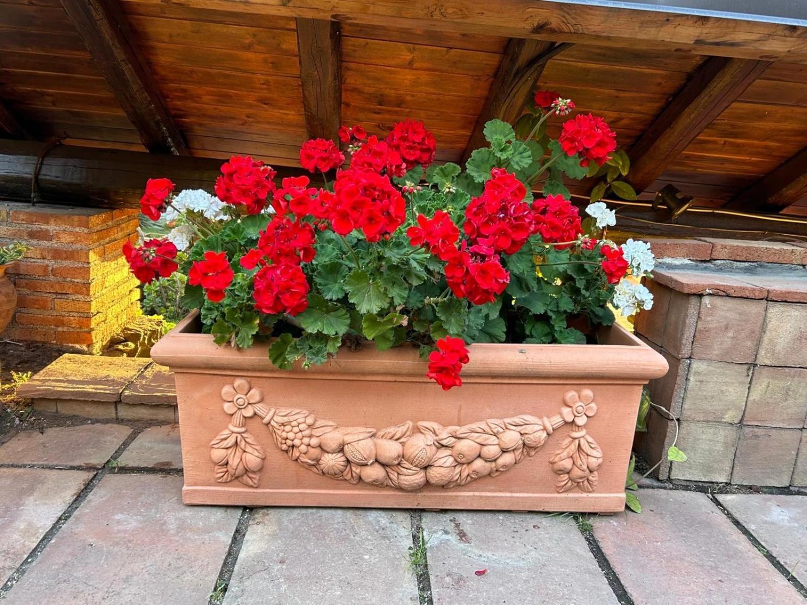Del Sole Villa *
